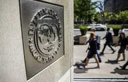 IMF nâng dự báo tăng trưởng kinh tế thế giới