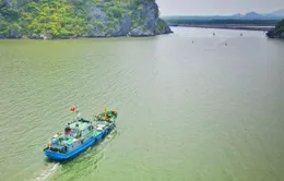 Kiên Giang: Hải đội dân quân đồng hành cùng ngư dân khai thác hải sản