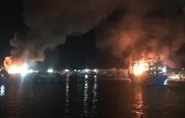 Nhiều tàu cá bốc cháy khi đang neo trong cảng ở Nghệ An