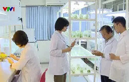 Cơ chế quản lý bó buộc nhà khoa học