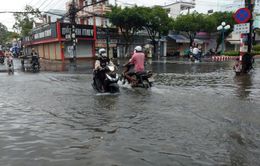 Mưa lớn gây thiệt hại ở Tây Nguyên, Nam Bộ