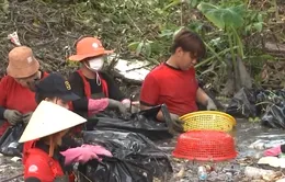 Những bạn trẻ đội nắng làm sạch môi trường