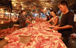 Giá lợn hơi gần mốc 70.000 đồng/kg