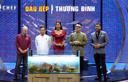 Top Chef - Tập 8: Tôn vinh tôm hùm Việt Nam trên bàn tiệc thế giới