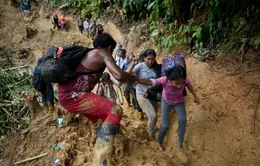 Người di cư băng qua Darien Gap đầy nguy hiểm lên mức cao nhất mọi thời đại