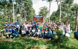 Triển khai Dự án Rừng Cộng đồng tại Việt Nam