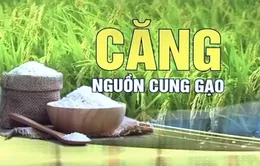 Giá gạo tăng ảnh hưởng đến hàng tỷ người