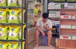 Gạo tăng giá tại các chợ truyền thống của TP Hồ Chí Minh