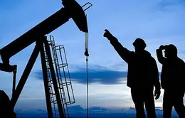 Giá dầu nới rộng đà giảm