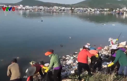 Ra quân thu gom rác thải khu vực đầm Sa Huỳnh, Quảng Ngãi