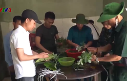 Quảng Nam: Trao sâm giống giúp người dân thoát nghèo