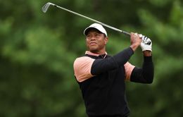 Tiger Woods được bổ nhiệm vào Ban Chính sách PGA Tour