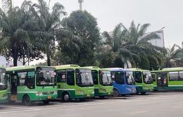 TP Hồ Chí Minh bổ sung 21 tuyến xe buýt