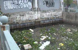 TP Hồ Chí Minh còn hàng trăm điểm tồn đọng rác thải