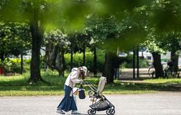 Một thành phố Nhật Bản "xin lỗi" sau khi khuyên phụ nữ mang thai nấu ăn, dọn dẹp và mát-xa cho chồng