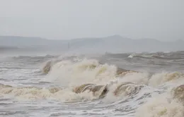Các tỉnh, thành ven biển từ Quảng Ninh đến Quảng Ngãi chủ động ứng phó với bão số 3 (bão Saola)