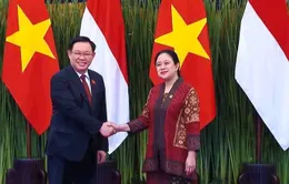 Thúc đẩy quan hệ Đối tác chiến lược Việt Nam - Indonesia