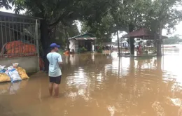 Chủ động ứng phó với lũ khẩn cấp trên các sông ở khu vực tỉnh Đồng Nai