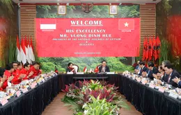 Tăng cường hợp tác Việt Nam - Indonesia trên kênh đảng