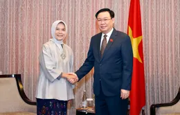 Tăng cường hợp tác trong lĩnh vực kiểm toán giữa Việt Nam và Indonesia
