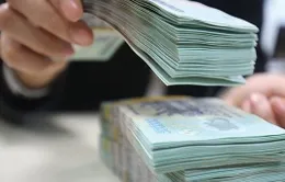 "Có doanh nghiệp chỉ kinh doanh yến sào, nhưng xuất hóa đơn trên 30.000 tỷ đồng"