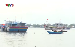 Hỗ trợ ngư dân vươn khơi phát triển kinh tế biển