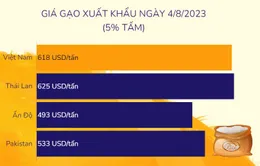 [INFOGRAPHIC] Xuất khẩu gạo của Việt Nam qua các năm