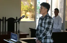 Bạc Liêu: 12 năm tù cho đối tượng dùng dao chém anh ruột trọng thương
