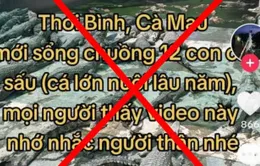Người đàn ông bị phạt 7,5 triệu vì bịa đặt thông tin ''12 con cá sấu sổng chuồng''