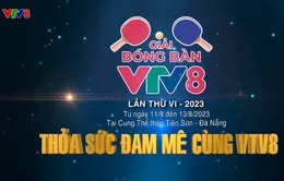 Giải bóng bàn tranh Cup VTV8 lần thứ VI năm 2023