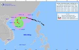 Sức gió mạnh nhất vùng gần tâm bão số 3 mạnh cấp 14-15
