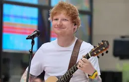 Ed Sheeran hủy concert vì "sự an toàn cho người hâm mộ"