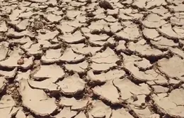 Nam Bộ có thể hứng chịu hạn hán tại nghiêm trọng trong mùa khô 2023 – 2024
