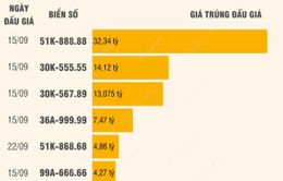 Những biển số ô tô được trả giá cao nhất thông qua đấu giá trực tuyến