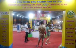 Người dân thích thú với sản phẩm OCOP các địa phương đang trưng bày tại Hà Nội
