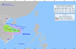 Áp thấp nhiệt đới giật cấp 8 cách quần đảo Hoàng Sa khoảng 170km