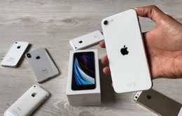 iPhone 15 sắp lên kệ, iPhone đời cũ giảm giá mạnh