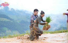 Hành trình rực rỡ: Dương Lâm tố Trường Giang mạnh tay, Bích Phương te tua kêu cứu