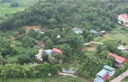 Hà Nội vẫn chậm báo cáo kết quả rà soát đất rừng