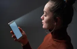 Thiếu sót khi không sử dụng kính cường lực chống ánh sáng xanh cho điện thoại