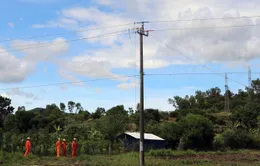 Phú Yên: Tai nạn lao động khi sửa đường dây điện làm hai công nhân thương vong