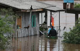 Mưa bão ở Brazil: Số người tử vong tăng lên 31, hàng nghìn người mất nhà cửa