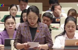 Phát huy vai trò đại biểu Quốc hội trẻ