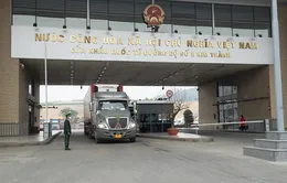 Tấp nập xuất nhập khẩu hàng hóa ngày đầu năm mới