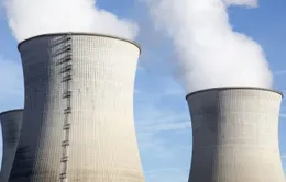 Pháp hạ mục tiêu năng lượng tái tạo, ưu tiên năng lượng hạt nhân