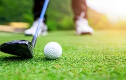 Cho thôi chức vụ đối với cán bộ đánh golf trong giờ hành chính