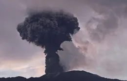 Núi lửa Marapi phun trào trở lại, Indonesia sơ tán dân