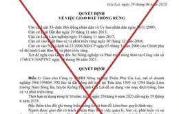 Vụ giả mạo Quyết định Chủ tịch tỉnh Gia Lai: Người làm giả là em của một Giám đốc