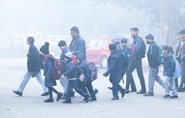 Sương mù dày đặc ảnh hưởng giao thông Ấn Độ