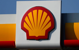 Hãng dầu khí đa quốc gia Shell đình chỉ tàu chở hàng lưu thông qua Biển Đỏ